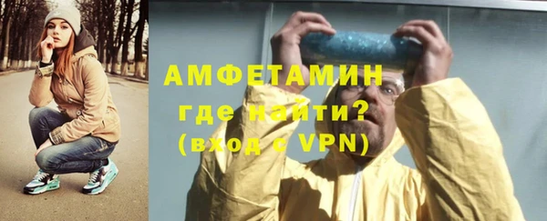 индика Осташков
