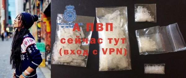индика Осташков