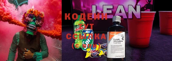 индика Осташков