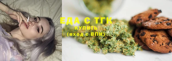 индика Осташков