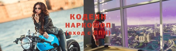 индика Осташков