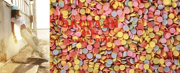 индика Осташков