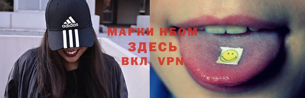 индика Осташков