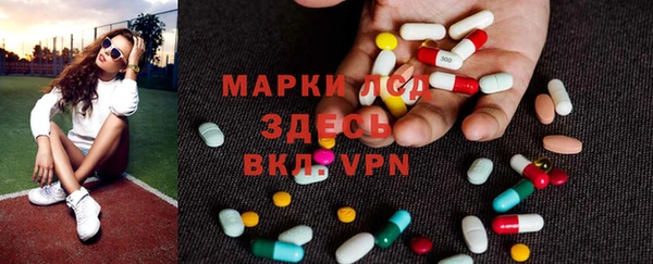 индика Осташков