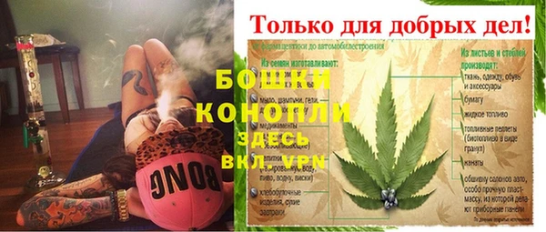 индика Осташков