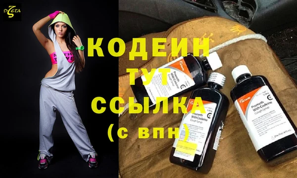 индика Осташков