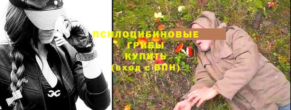 apvp Остров