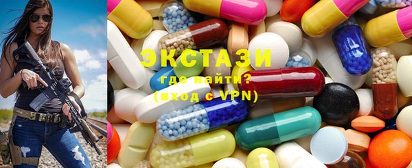 индика Осташков
