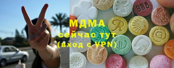 индика Осташков