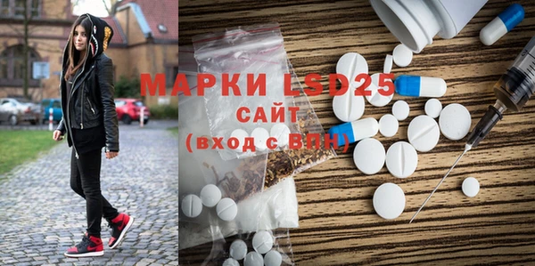 индика Осташков