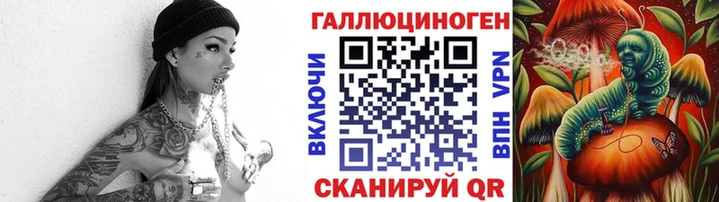 OMG   Костерёво  Псилоцибиновые грибы Psilocybe 